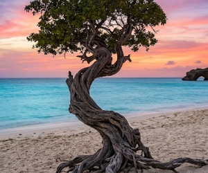pl